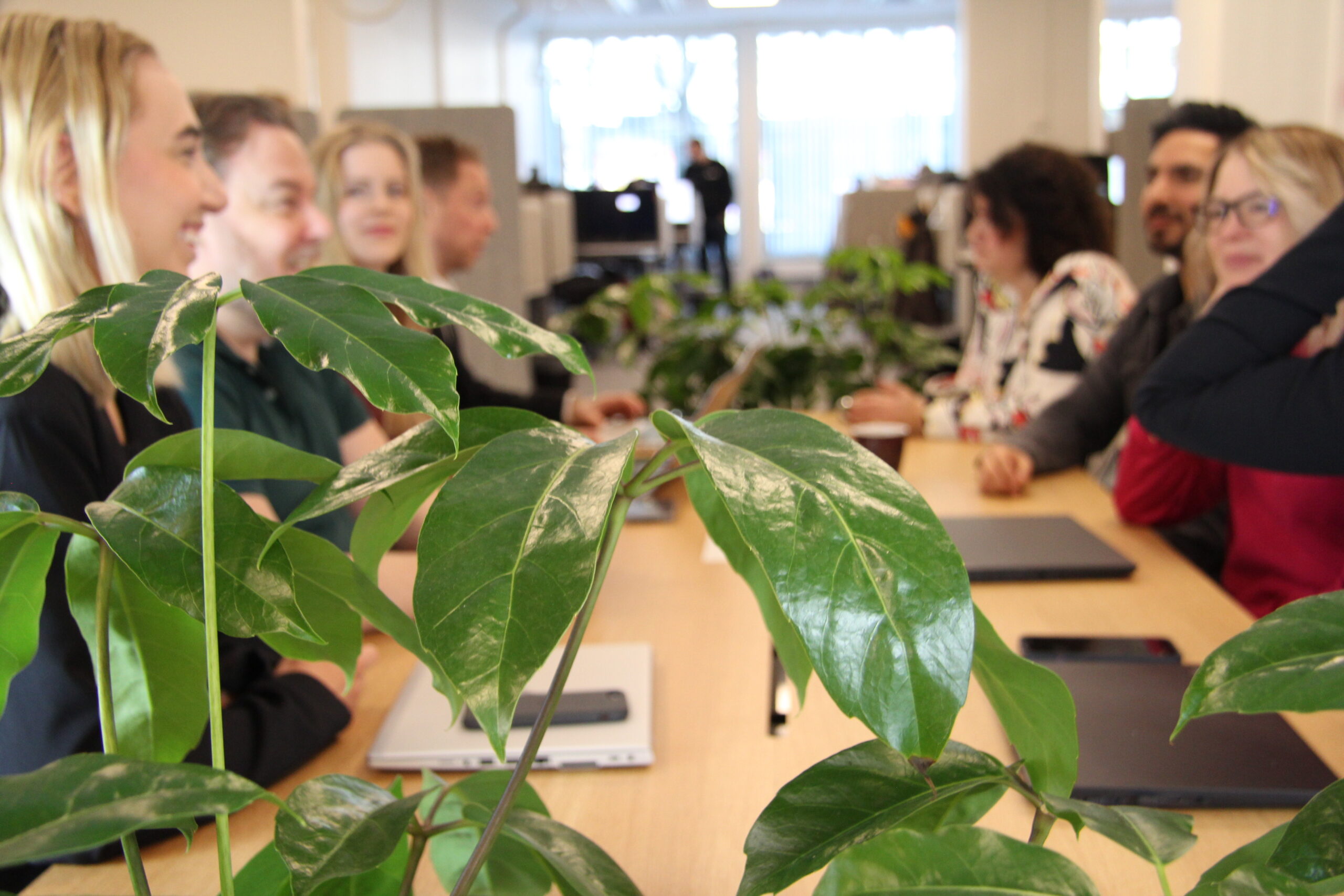 Read more about the article Key Account Manager